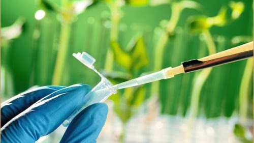 iBatech A Natural Biostimulant